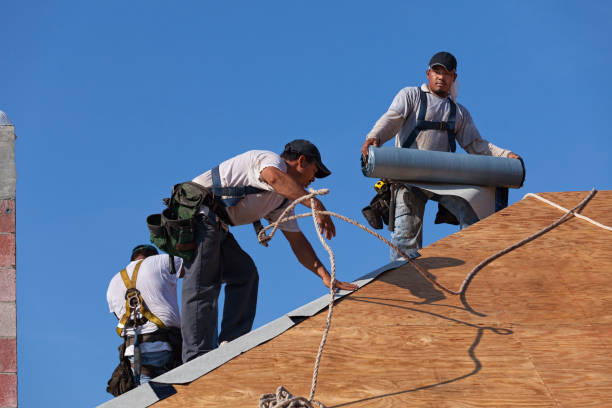 Best Roof Gutter Cleaning  in Valley Forge, TN