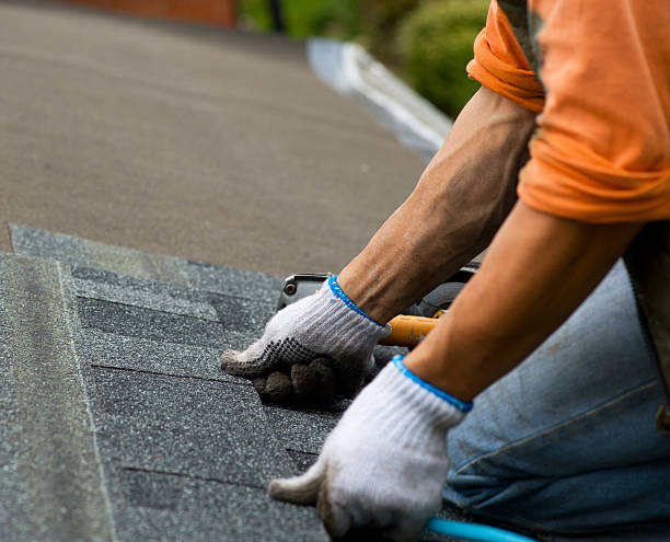 Best Gutter Installation and Roofing  in Valley Forge, TN